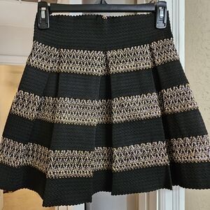 Embroidered Pleated Circle Skirt Black/Gold
